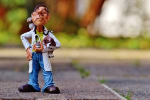 Cosa fare in caso di emergenza veterinaria