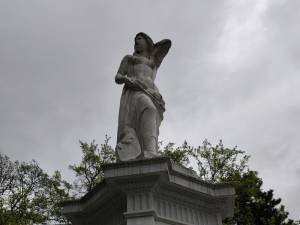 Donnina del Danubio Donauweibchen