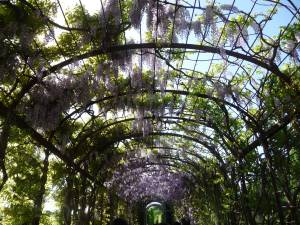 Giardini di Schoenbrunn