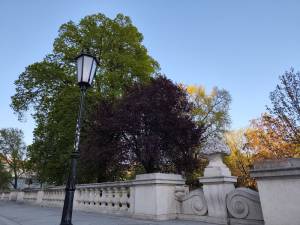Giardino Imperiale Burggarten