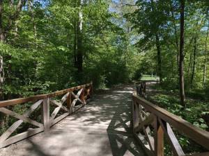 Lainzer Tiergarten