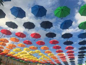 Umbrella Sky