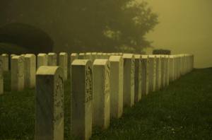 Cimiteri per animali