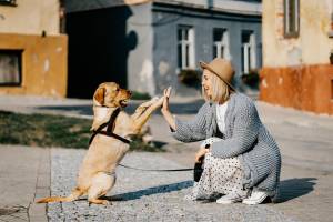 Consigli utili per padroni di animali