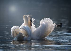 Dove fare il bagno