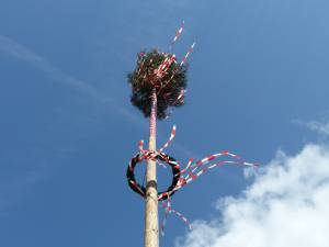 Maibaumfest e tradizione dell albero di maggio
