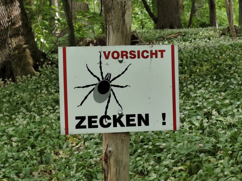 Difendersi-dal-Morso-delle-Zecche-e-Prevenire-i-Rischi