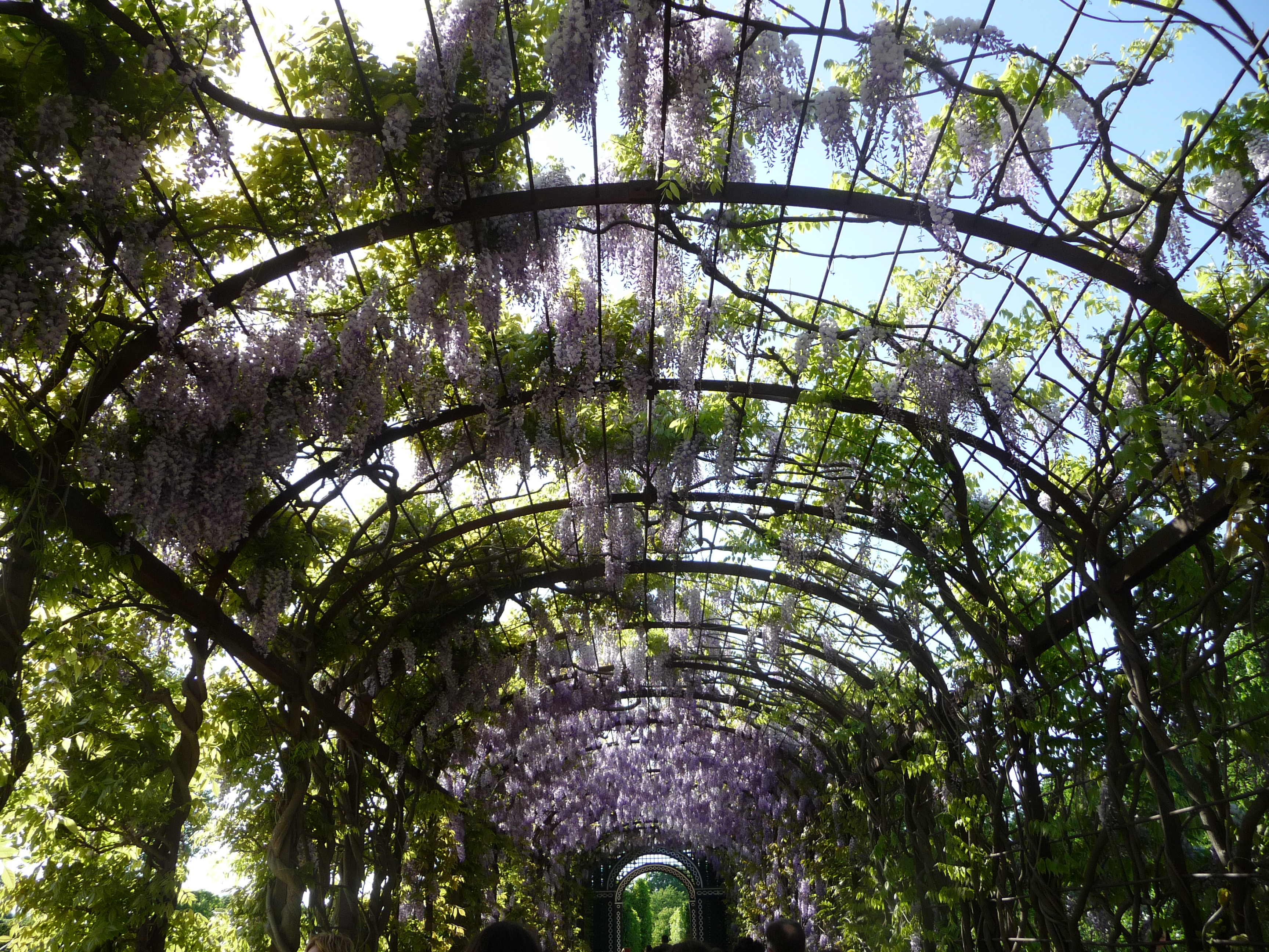 Giardini-di-Schoenbrunn