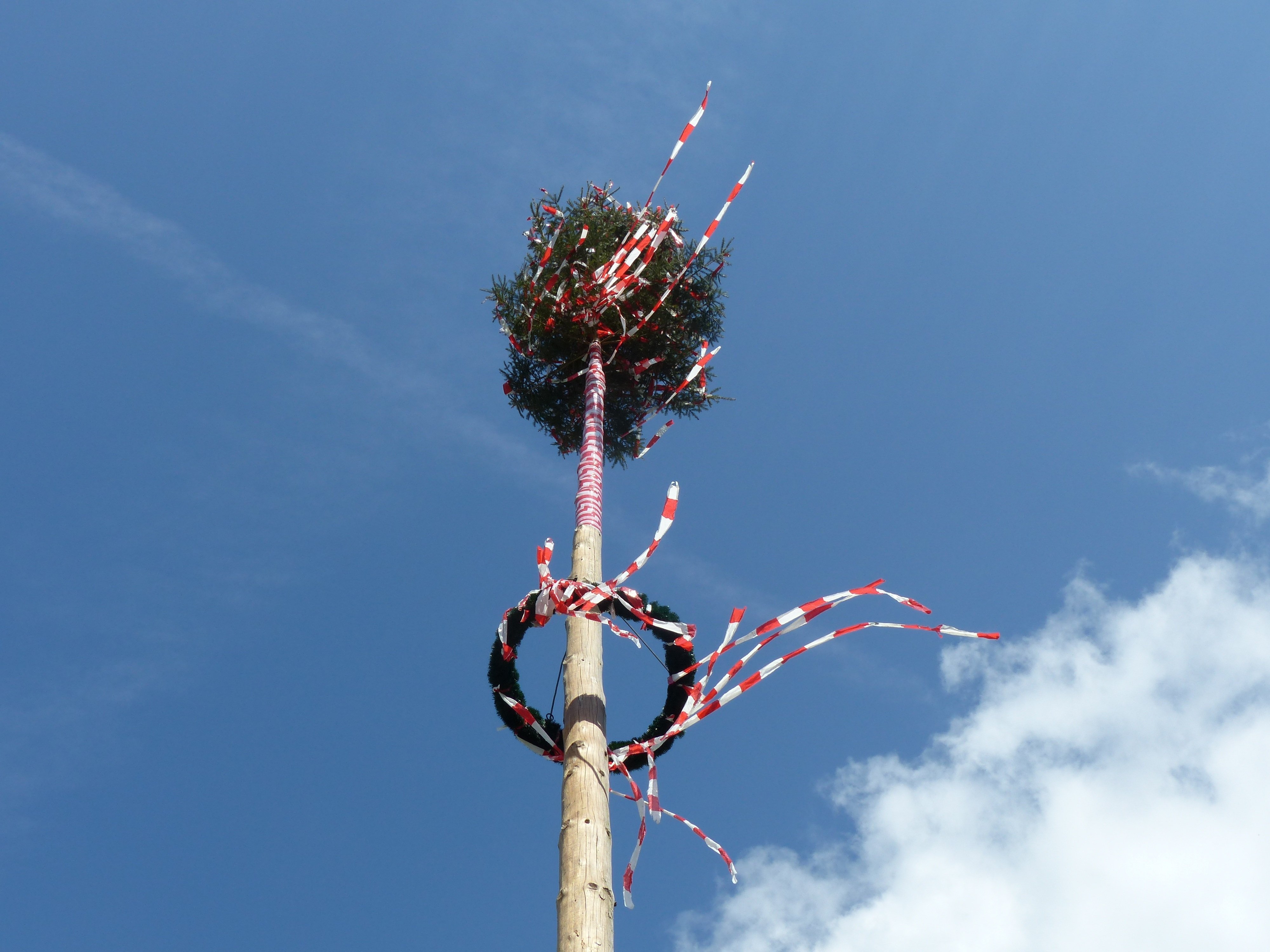 Maibaumfest-e-tradizione-dell-albero-di-maggio