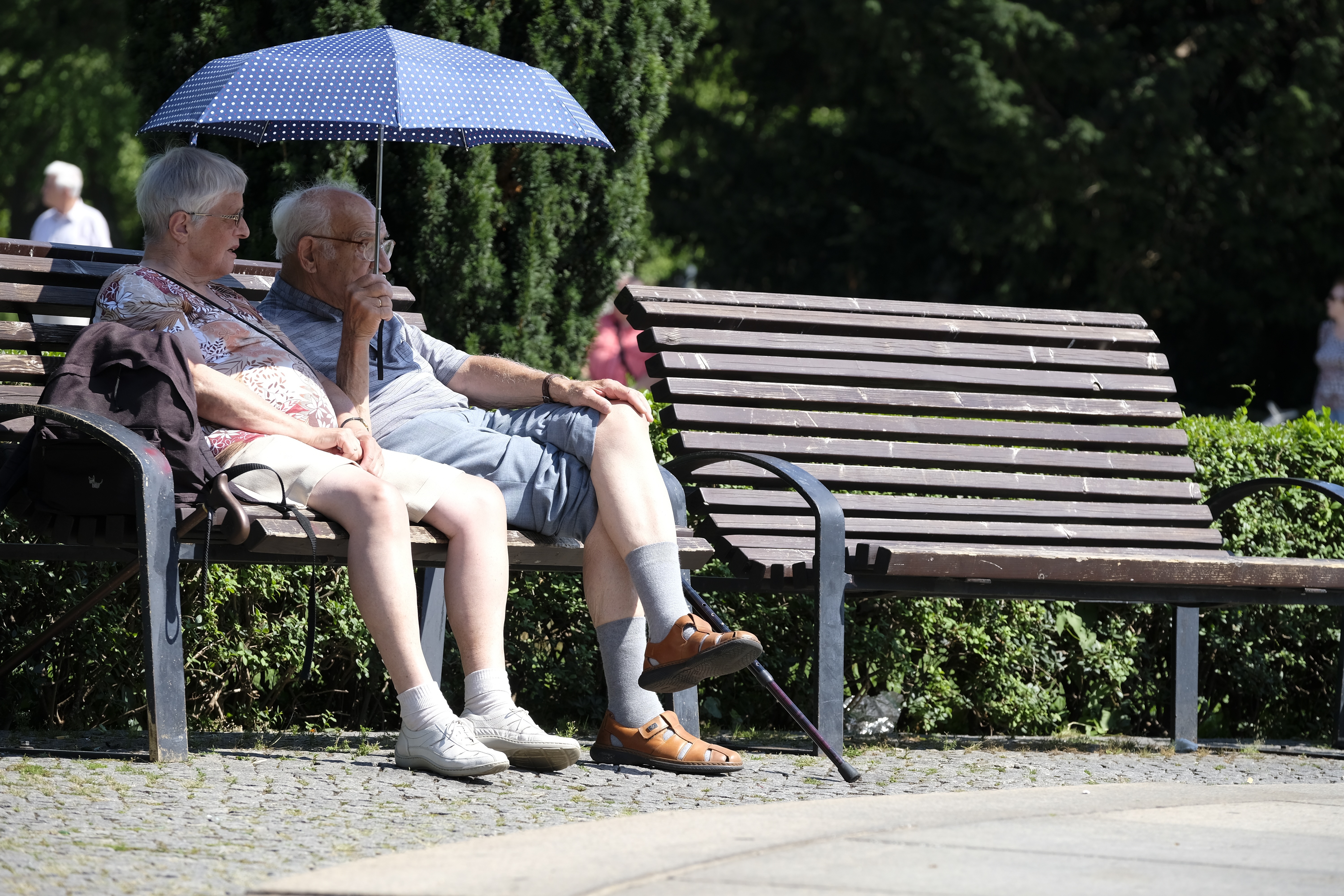 Pensione-integrativa-Austria-Come-funziona-la-private-Pensionsvorsorge