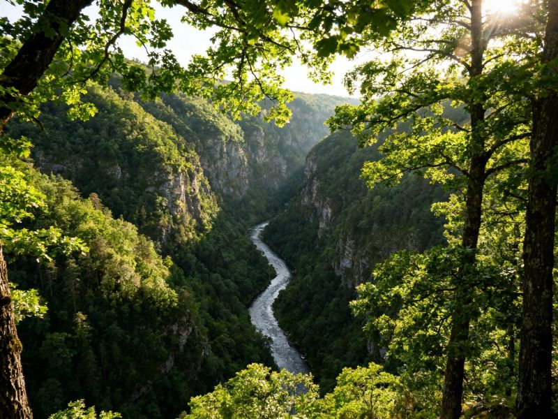 Tour Rifugi-Imperiali-dai-Canyon-Verdi-alle-Foreste-di-Sissi
