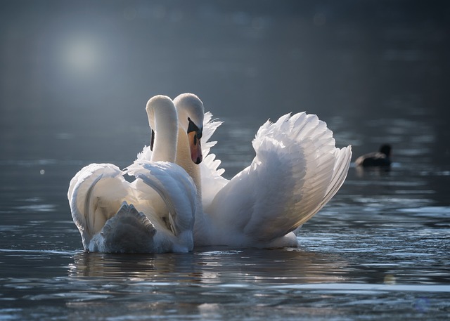 dove-fare-il-bagno