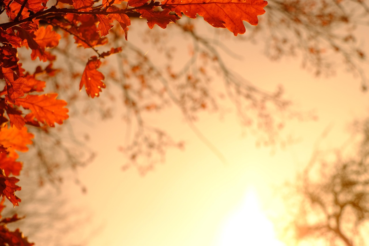 eventi_principali_di_ottobre