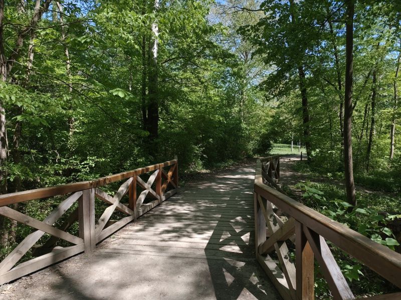 lainzer-tiergarten